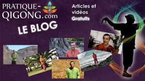 LE BLOG QI GONG